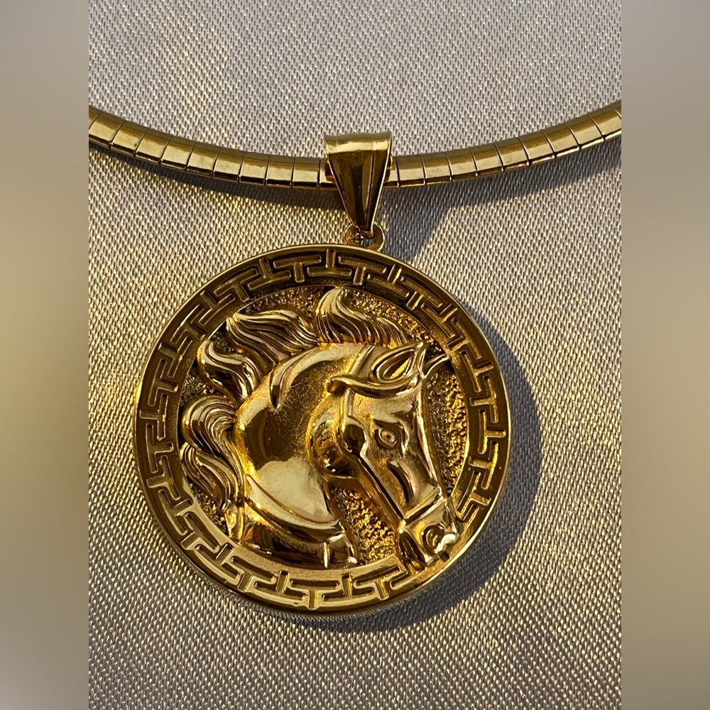 Stainless steel Horse Medallion Necklace. 🐴 Perfect for any event .